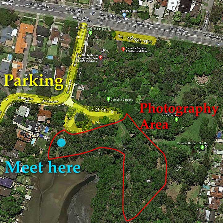 Sutherland Shire Family Photography & Wedding Portrait Location - Kareena Creek