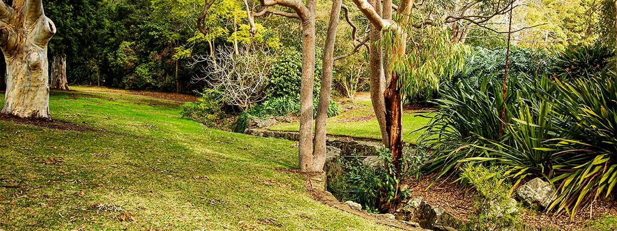 Sutherland Shire Family Photography & Wedding Portrait Location - Sutherland Park - Sutherland