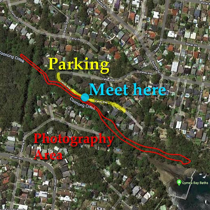 Sutherland Shire Family Photography & Wedding Portrait Location - Coonong Creek Bushland Reserve Map