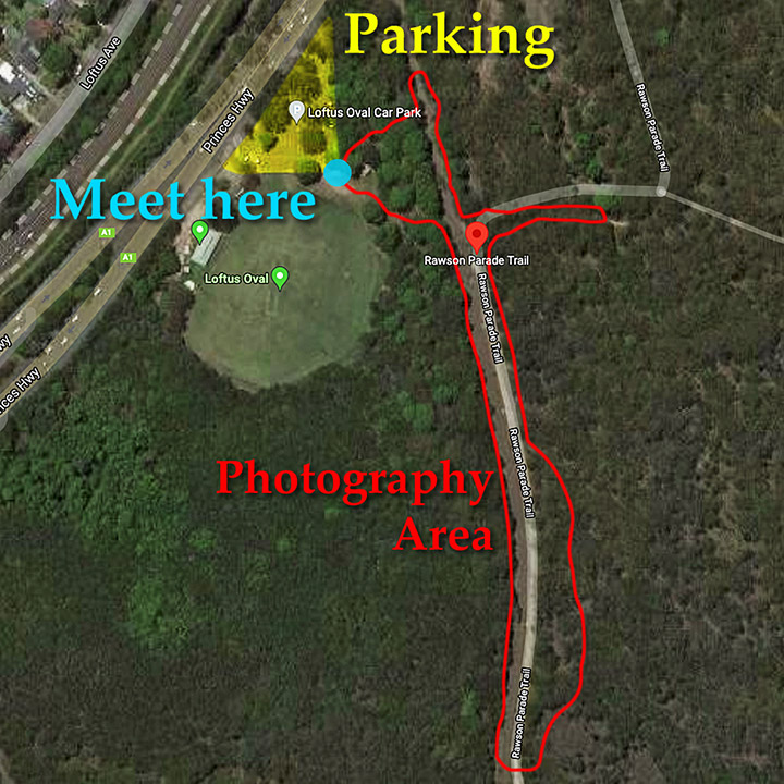 Sutherland Shire Family Photography & Wedding Portrait Location Map Rawson Parade Trail Loftus